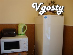1 kom.kvartira rent from the hostess without intermediaries, internet  - Apartments for daily rent from owners - Vgosty