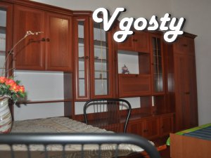 2 BR. elitnom apartment house center. Satellite TV, WI-FI, documents - Apartments for daily rent from owners - Vgosty