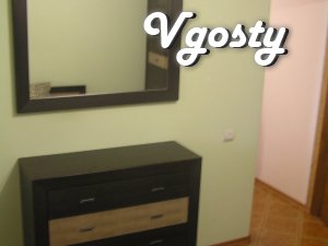 Daily 3-for. LUX central chasti.Evroremont 2013., Wi-fi, a five- - Apartments for daily rent from owners - Vgosty