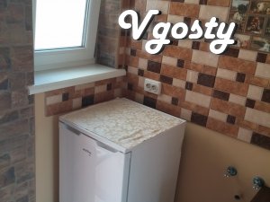 Komforna 1 bedroom in mikrooteli.Kuhnya, Wi-FI, with a document. - Apartments for daily rent from owners - Vgosty