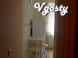 Cozy 1 bedroom. apartment near torh.tsentru Square-Ear - Apartments for daily rent from owners - Vgosty