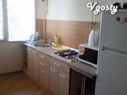 The apartment is close to the waterfront. - Apartments for daily rent from owners - Vgosty