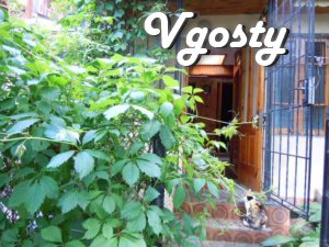 Apartment in the center of Yalta from the owner - Apartments for daily rent from owners - Vgosty