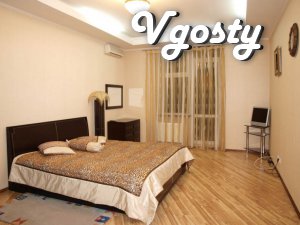 Two 'Lux' № 4 - from housewives - Apartments for daily rent from owners - Vgosty