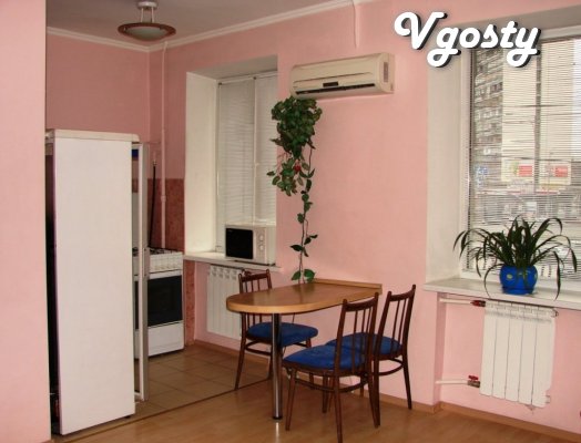 1k TC 'DARNITSA' Leningrad area - Apartments for daily rent from owners - Vgosty