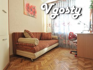 Beautiful, cozy apartment, located opposite the Palace - Apartments for daily rent from owners - Vgosty