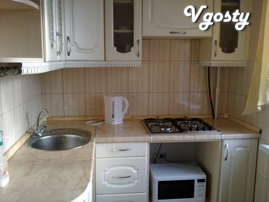 Minsk subway 2 minutes - Apartments for daily rent from owners - Vgosty