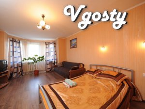 One bedroom apartment for Hem, Wi-Fi - Apartments for daily rent from owners - Vgosty