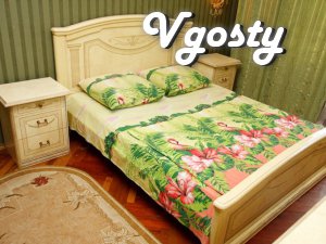 Khreshchatyk 10 minutes - Apartments for daily rent from owners - Vgosty