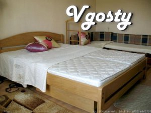 Daily, hourly, obolon - Apartments for daily rent from owners - Vgosty