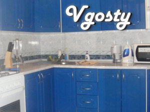 m Levoberezhnaya Rusanivka - Apartments for daily rent from owners - Vgosty