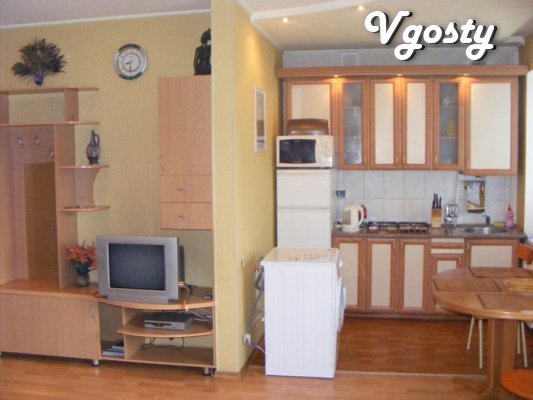 2 rooms. square. Studio VIP class - Apartments for daily rent from owners - Vgosty