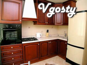 1 BR . Flat center style ' euro ' - Apartments for daily rent from owners - Vgosty