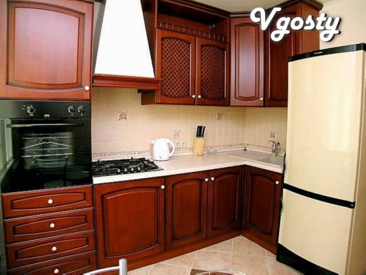 1 BR . Flat center style ' euro ' - Apartments for daily rent from owners - Vgosty