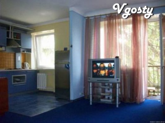 Studio apartment ( Bot.Sad ) - Apartments for daily rent from owners - Vgosty
