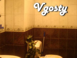 Gagarin on the bus - Apartments for daily rent from owners - Vgosty