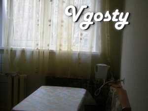 rent 1iz.kv. near the central bus station and subway station ' Gagarin - Apartments for daily rent from owners - Vgosty