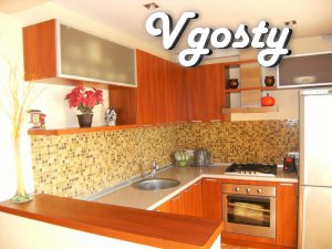 one day own komn.kv. Studio De Luxe - Apartments for daily rent from owners - Vgosty