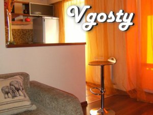 one day own komn.kv. Studio De Luxe - Apartments for daily rent from owners - Vgosty