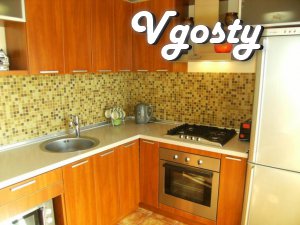 Extensive own apartment in the center - Apartments for daily rent from owners - Vgosty