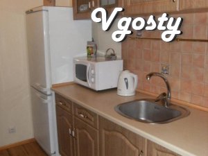 Its two k.kv. Daily, M. Pl.Vosstaniya - Apartments for daily rent from owners - Vgosty