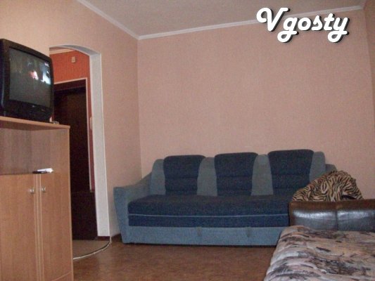 Rent by the day / hour, his one-bedroom - Apartments for daily rent from owners - Vgosty