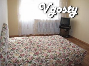 1k square m.Studencheskaya 5 min walk - Apartments for daily rent from owners - Vgosty