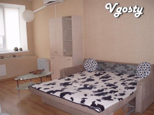 Rent your 2k. apartment! Center! - Apartments for daily rent from owners - Vgosty