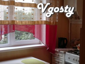 Its! Every day! Randomly! 1-roomed apartment. - Apartments for daily rent from owners - Vgosty