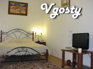 Daily 1k.kv.v Center - Apartments for daily rent from owners - Vgosty
