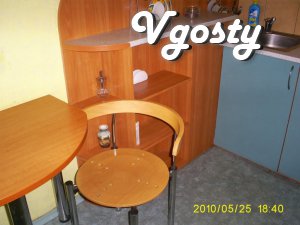 2-com. cozy apartment in the center - Apartments for daily rent from owners - Vgosty