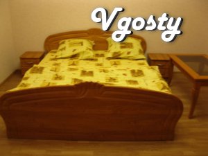 Comfortable apartment in the center of Kharkov - Apartments for daily rent from owners - Vgosty