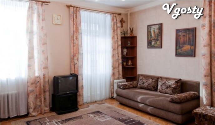 nice one-bedroom apartment in the center - Apartments for daily rent from owners - Vgosty