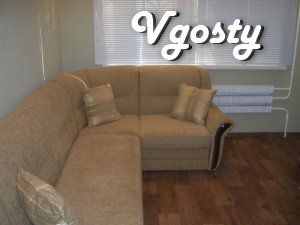 small and cozy 1-bedroom apartment - Apartments for daily rent from owners - Vgosty