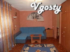 Cozy apartment in Lenina - Apartments for daily rent from owners - Vgosty