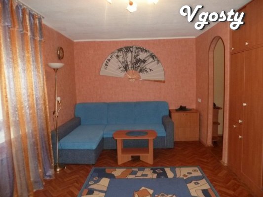 Cozy apartment in Lenina - Apartments for daily rent from owners - Vgosty