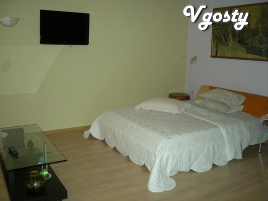 own apartment in Lenina - Apartments for daily rent from owners - Vgosty