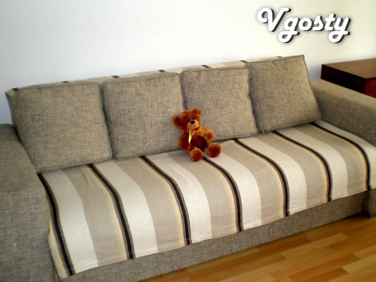 Apartment in the center of Kharkov - Apartments for daily rent from owners - Vgosty