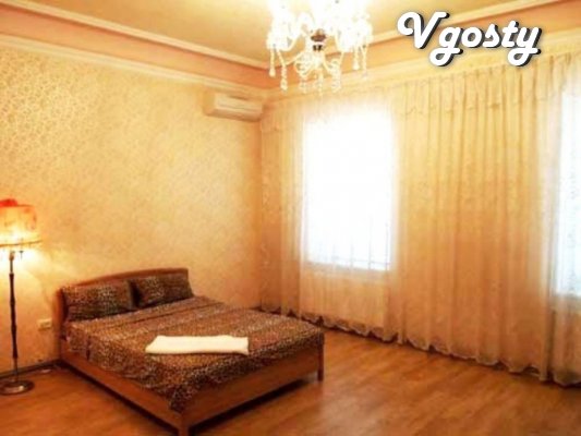 Cozy studio apartment! - Apartments for daily rent from owners - Vgosty