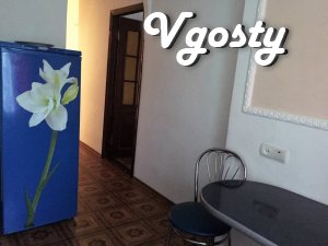 McDonald's / Cathedral! Rent comfortable 2k / apartment! - Apartments for daily rent from owners - Vgosty