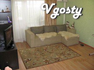 In the center, cosiness and comfort! - Apartments for daily rent from owners - Vgosty