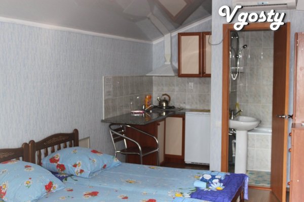 Two double rooms with kitchenette , separate entrance ... - Apartments for daily rent from owners - Vgosty