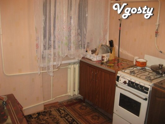 For rent apartment for rent in the city center (St. ... - Apartments for daily rent from owners - Vgosty