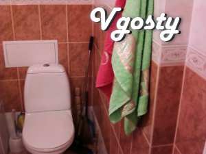 Apartment for rent ( hourly ) on Levanevsky. Repair, ... - Apartments for daily rent from owners - Vgosty