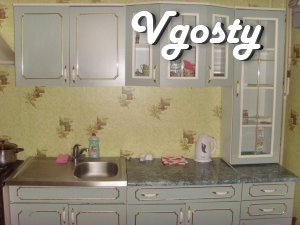 Rent apartment in the center , rn mag. - Apartments for daily rent from owners - Vgosty