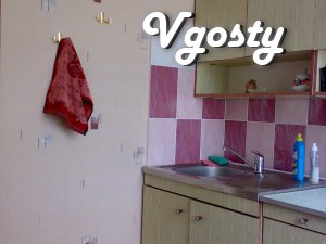 One bedroom apartment renovated in the Agrarian - Apartments for daily rent from owners - Vgosty