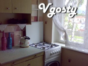 One bedroom apartment renovated in the Agrarian - Apartments for daily rent from owners - Vgosty