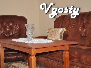 Comfortable one-bedroom apartment in the city center with all the - Apartments for daily rent from owners - Vgosty