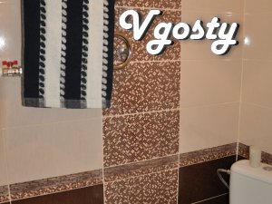 Comfortable one-bedroom apartment in the city center with all the - Apartments for daily rent from owners - Vgosty