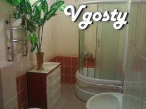 Daily, hourly apartment with all amenities - Apartments for daily rent from owners - Vgosty